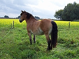 Bild 026